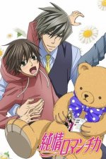 Cover Junjo Romantica, Poster Junjo Romantica