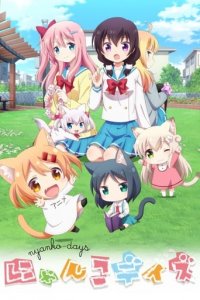 Nyanko Days Cover, Poster, Nyanko Days DVD